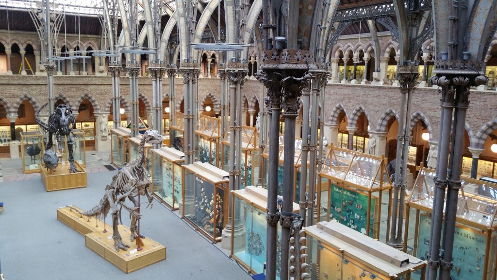 oxford-museum-of-natural-history